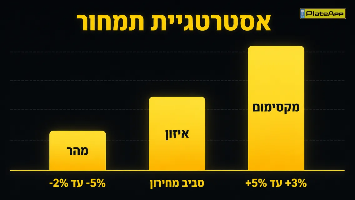 אינפוגרפיקה של שלוש אסטרטגיות תמחור לרכב: מהר, איזון, מקסימום